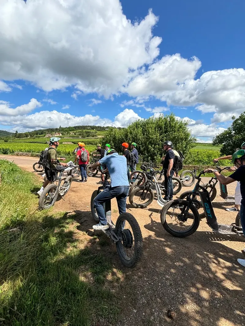 Un groupe en pause au milieu des vignes